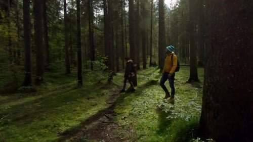 Couple hiking in forest, Parco Naturale dei Laghi di Fusine, Italy