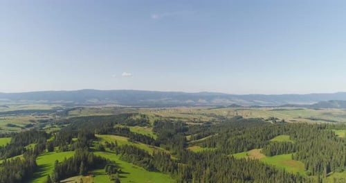 Flying Over the Beautiful Forest Trees. Landscape Panorama