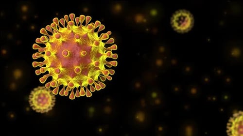 Animated 3D Virus Particle for Medical and Scientific Projects