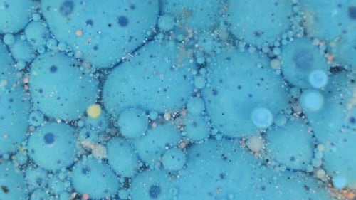 Abstract Bubbles Forming Organic Structure