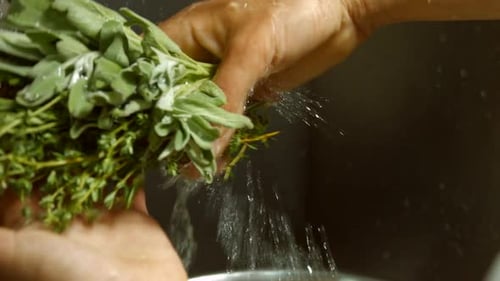 Washing Fresh Herbs in the Kitchen Sink