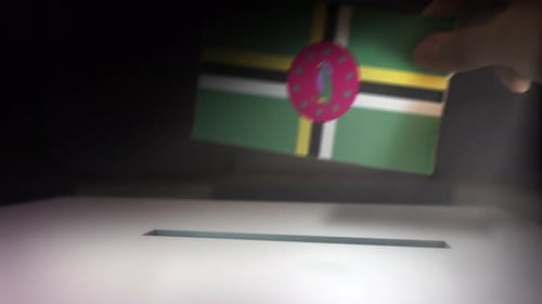 National Flag Vote Animation in a Realistic Ballot Box