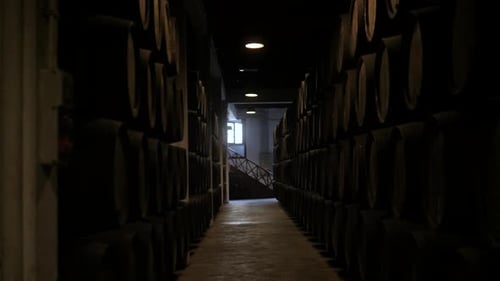Alte Weinfässer in einem Weinkeller Sommelier Man Tourist Entdecken Sie Porto Portugal Alter Fabrikbestand