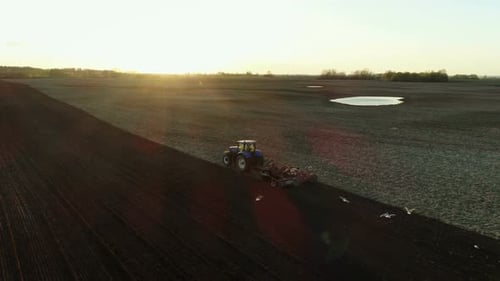 Tractor Tilling Field at Sunset with Birds