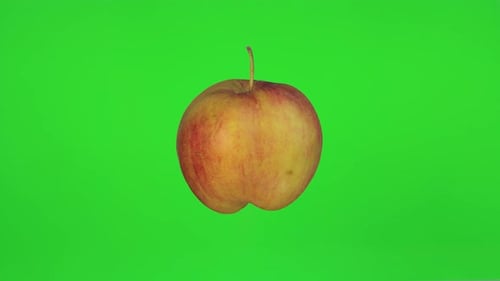 Apple Rotate On Green Background