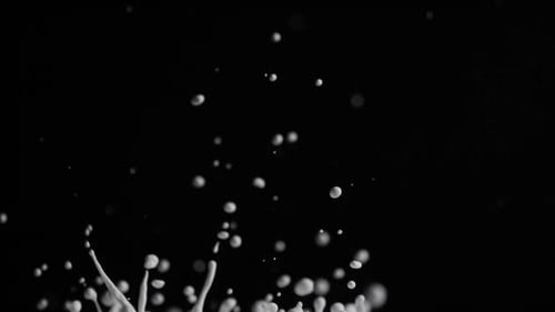 White Liquid Paint Splash in Slow Motion