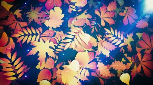 Hojas de otoño