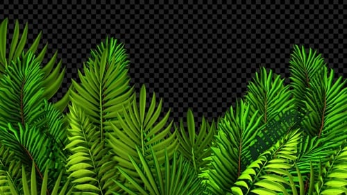 Lush Tropical Leaves Screen Transitions Pack