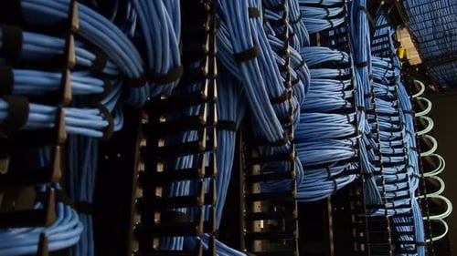 La foto de Dolly revela una gran red de cables azules entrelazados en una sala de servidores