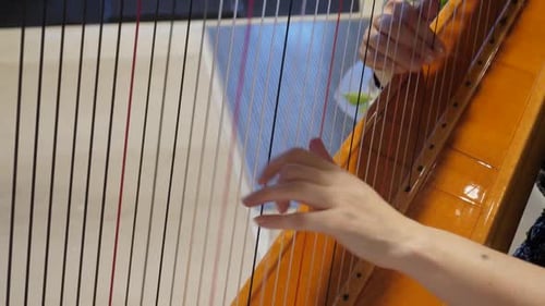 Harpist Hands Plucking the Harp Strings