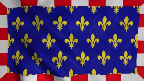 Animated Fleur-de-lis Flag Motif with Waving Checkered Border