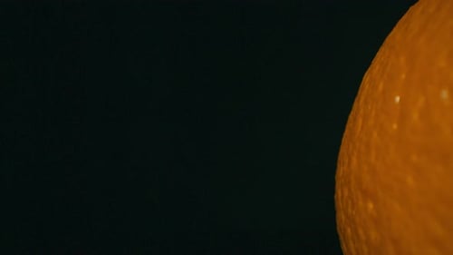 Fresh Oranges and a Glass of Juice