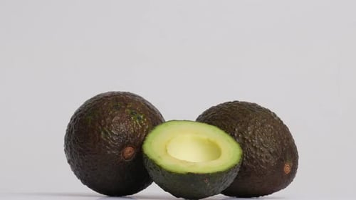 Avocado 51