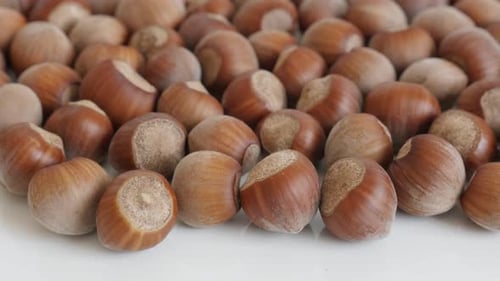 Pile of Delicious Hazelnuts in Shells