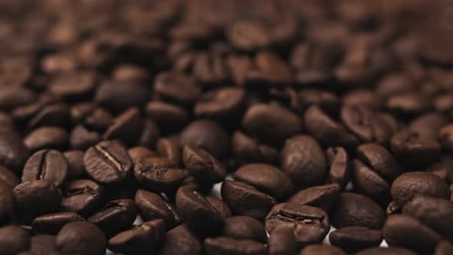 Roasted Coffee Bean. Fragrant Coffee Beans Scrolls Slowly Around the Camera. Slow Motion Close Up of