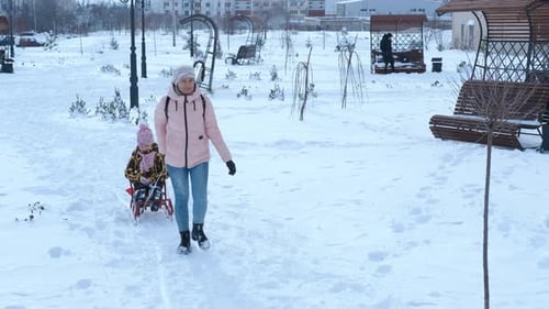 Sledding Leisure with Family