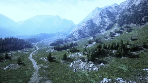 Winding Road in the Mountains with Pine Forest