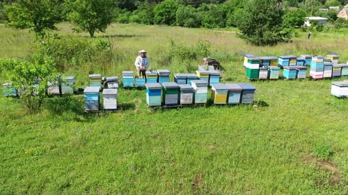 Apiary in the countryside