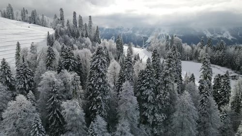 Aerial View of the Ski Slope at the Beginning of the Season