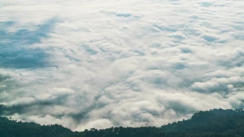 Clouds Hovering over Majestic Green Forest