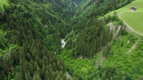 Aerial Fly in Alpine Mountains with Pinetree Forest and River