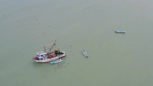 Fishing Boats Floating on the Water From Above