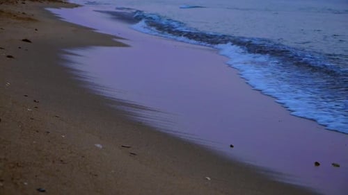Meer