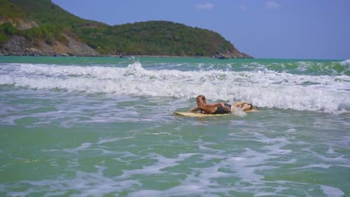 Slowmotion Shot of a Young Woman Is Surfing in a Beautiful Sea