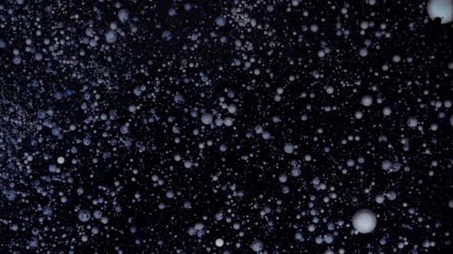 White Particles Move Randomly