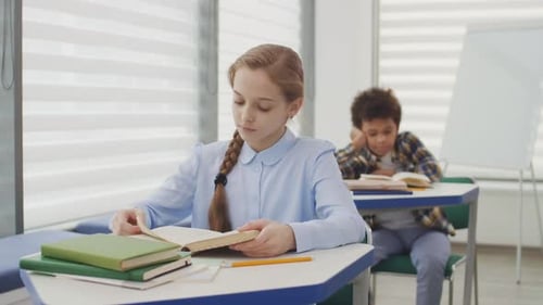 Children Reading Books at Desks in School Classroom