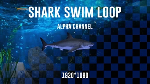 Shark Swim Alpha Loop