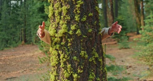 Nature Lover on Sunny Autumn Day. Environmentalist Is Hugging Tree in Forest