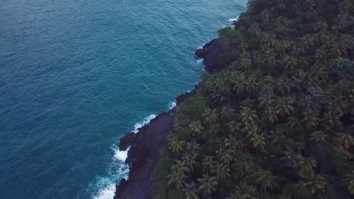 Rocks And Waves In The Virgin Beach And Palms Trees In The Caribbean 4k 24fps