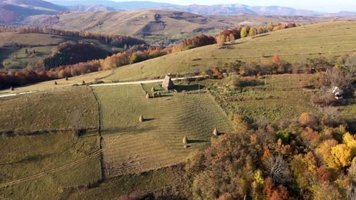 Flying Above Colorful Autumn Countryside Forest in the Mountains