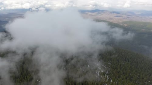 Wolken über dem Wald