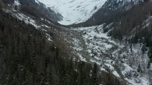 Im Winter über Pinien in einem wunderschönen Tal fliegen