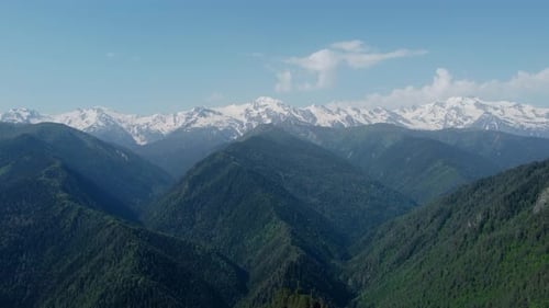 Mountain and forest aerial view