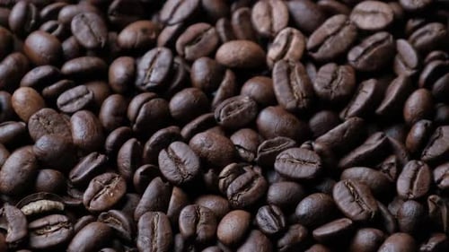Close Up of Pile of Roasted Coffee Beans
