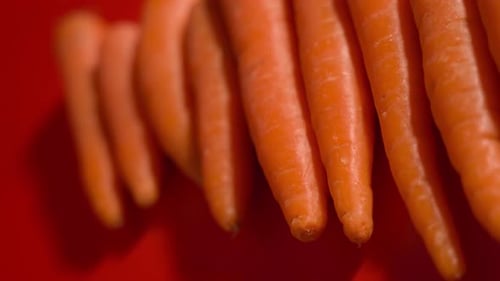Leckere Karotten, die auf rotem Hintergrund ruhen