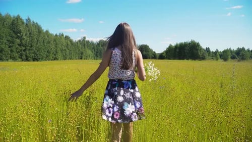 Summer Landscape, Girl, Field of Flax