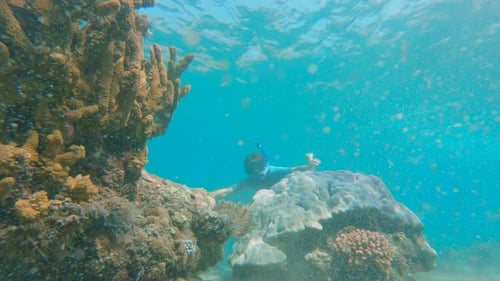 Slowmotion Shot of a Young Man Snorkeling Among Corals in Clear Blue Water Surrounded By Lots of