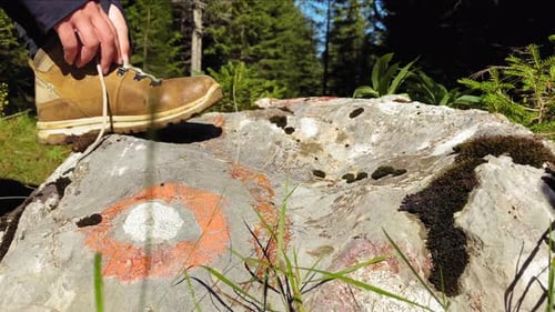 Hiking Boot Ties Laces on Rocky Forest Trail