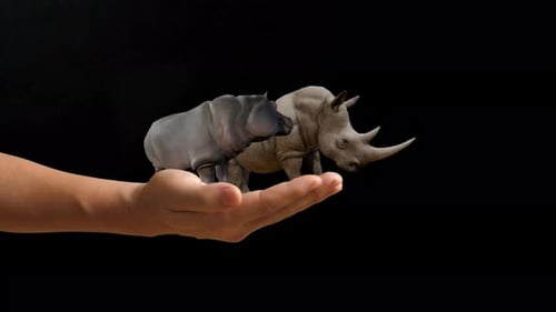 Hand Holding Miniature Rhino and Hippo Animals