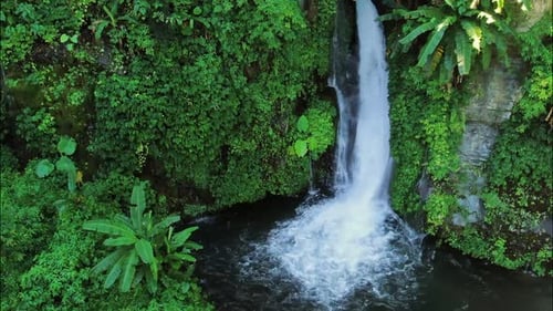 Waterfall Among Tropical Plants And Green Leaves In Bali, Indonesia.