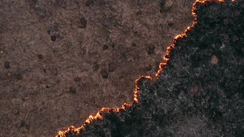 Top View and Flying Over the Field with a Line of Fire. Epic Video Shooting, Smoke Clouds, the