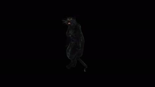 Animated 3D Black Panther Roaring on Hind Legs