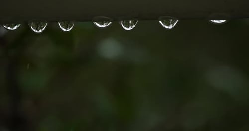 Raindrops Clinging to Metal Bar with Green Background