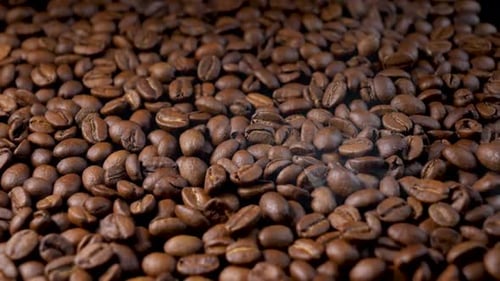 Close Up of Fresh Roasted Coffee Beans