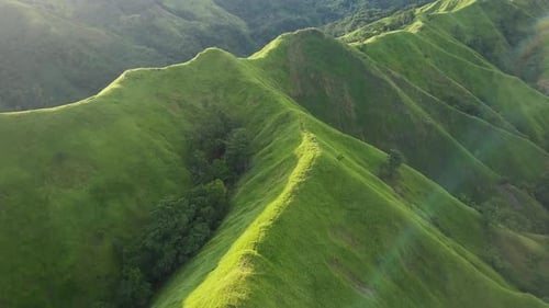 Aerial View. Flight Over a Green Grassy Hills.
