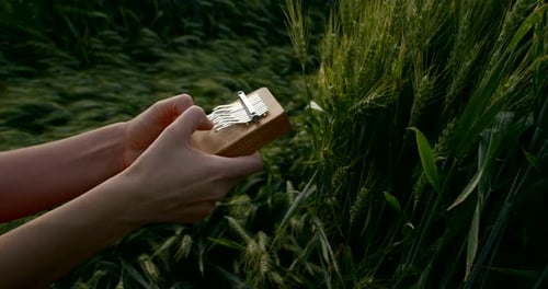 Mujer está tocando en el instrumento musical más antiguo de Kalimba, manos de primer plano en el fondo de campo verde